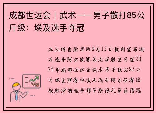 成都世运会丨武术——男子散打85公斤级：埃及选手夺冠